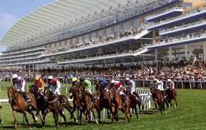 Букмекеры предсказывают рекордные ставки на скачки Cheltenham Festival