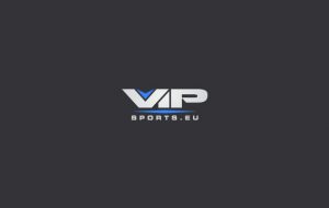 Обзор букмекерской конторы Vip Sports