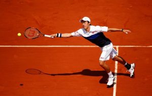 Прогноз и ставки Кеи Нисикори – Теймураз Габашвили, Roland Garros (31.05.2015)